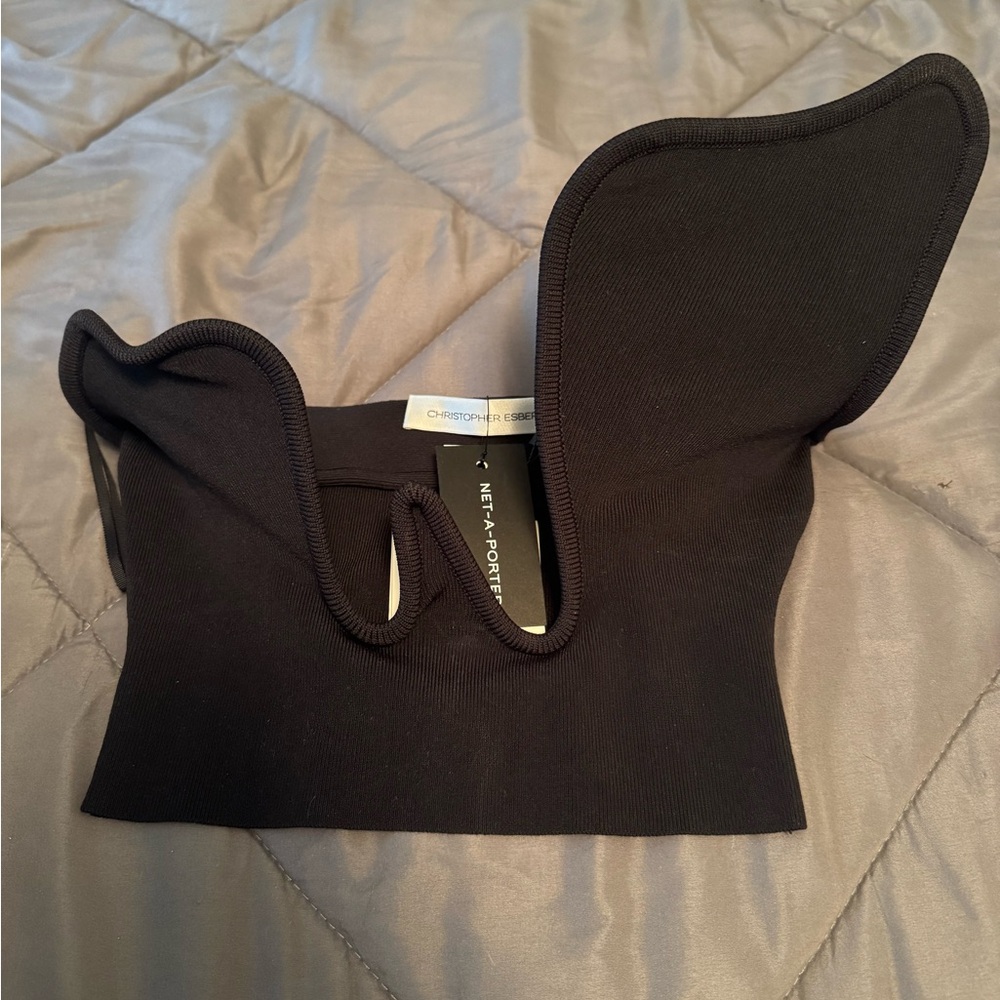 Christopher Esber Salacia Wire Strapless Top